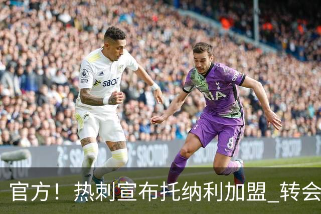 官方！热刺宣布托纳利加盟 转会费1亿镑再破队史纪录